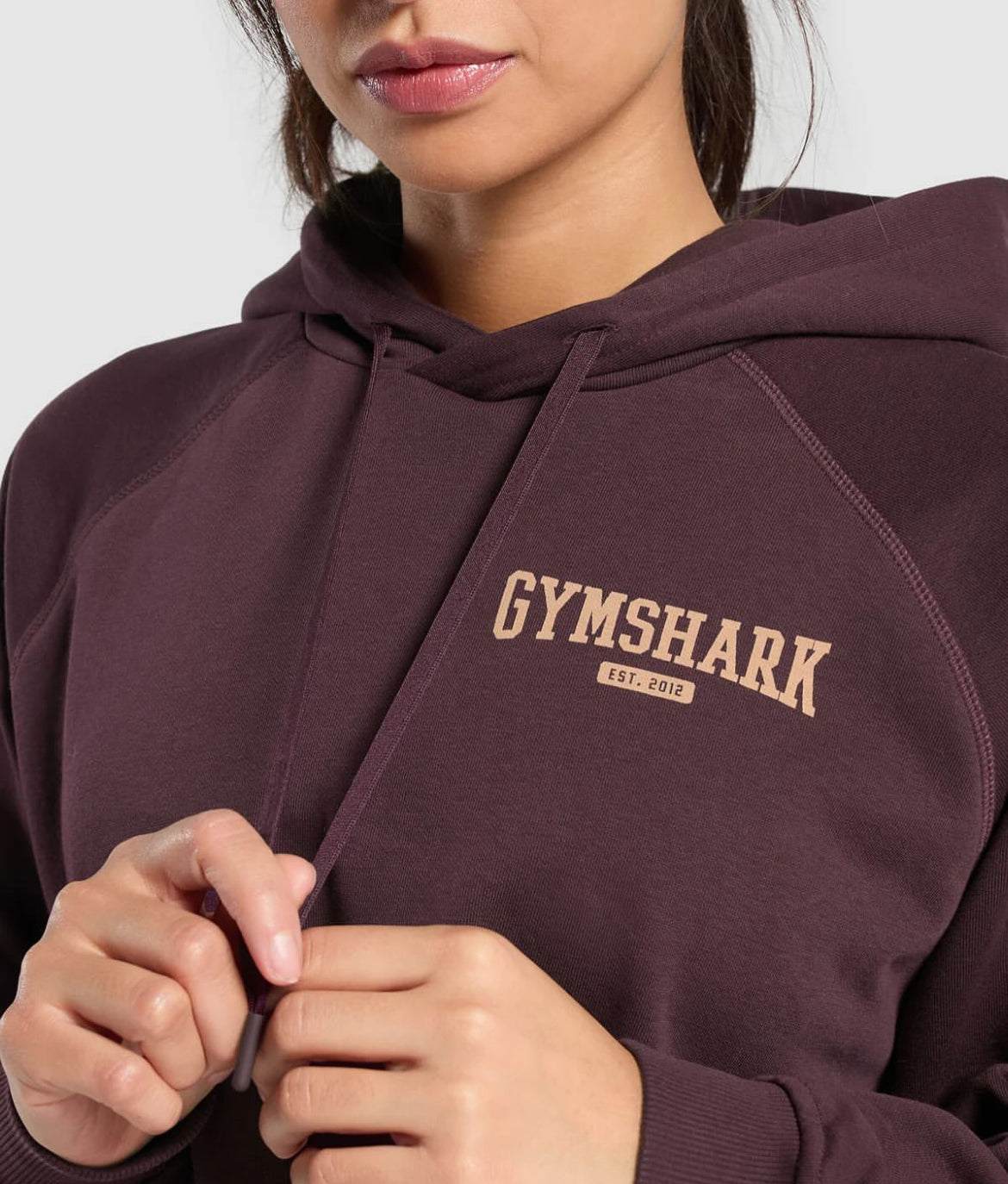 Collegiate lifestyle hoodie
