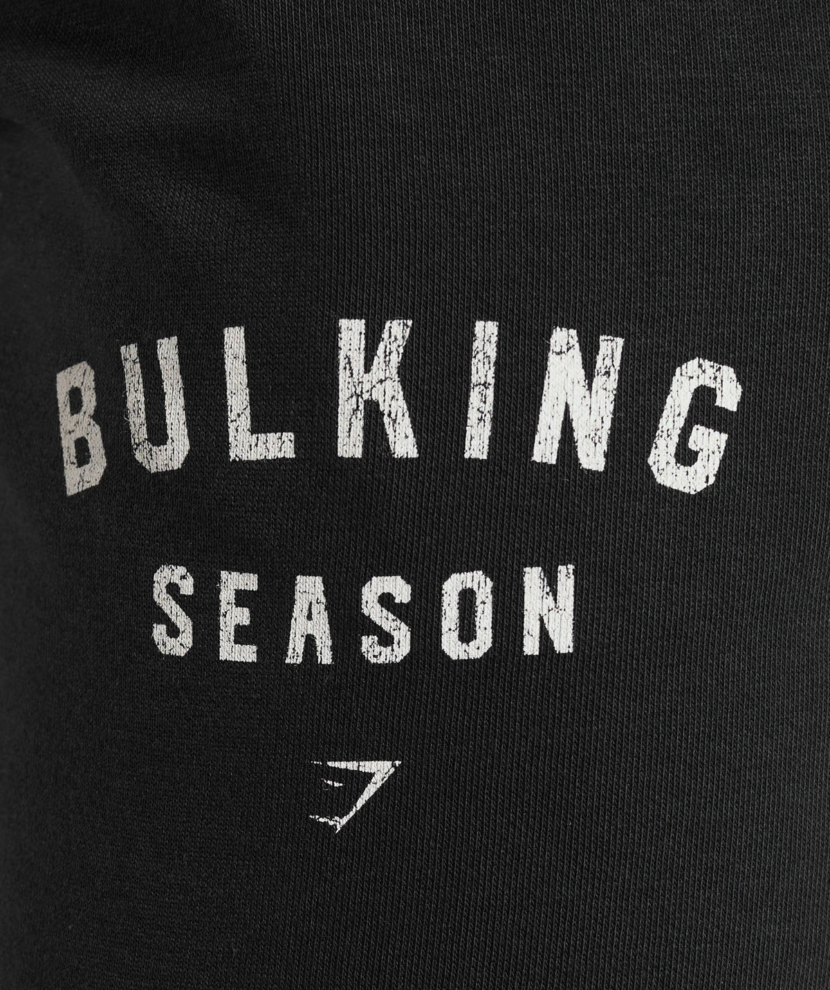 Bulking season brushed jogger