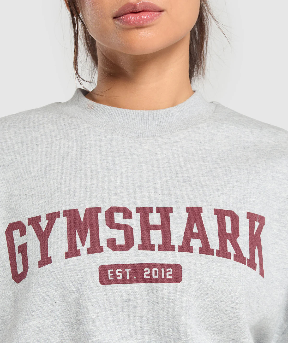 Collegiate lifestyle oversized sweatshirt