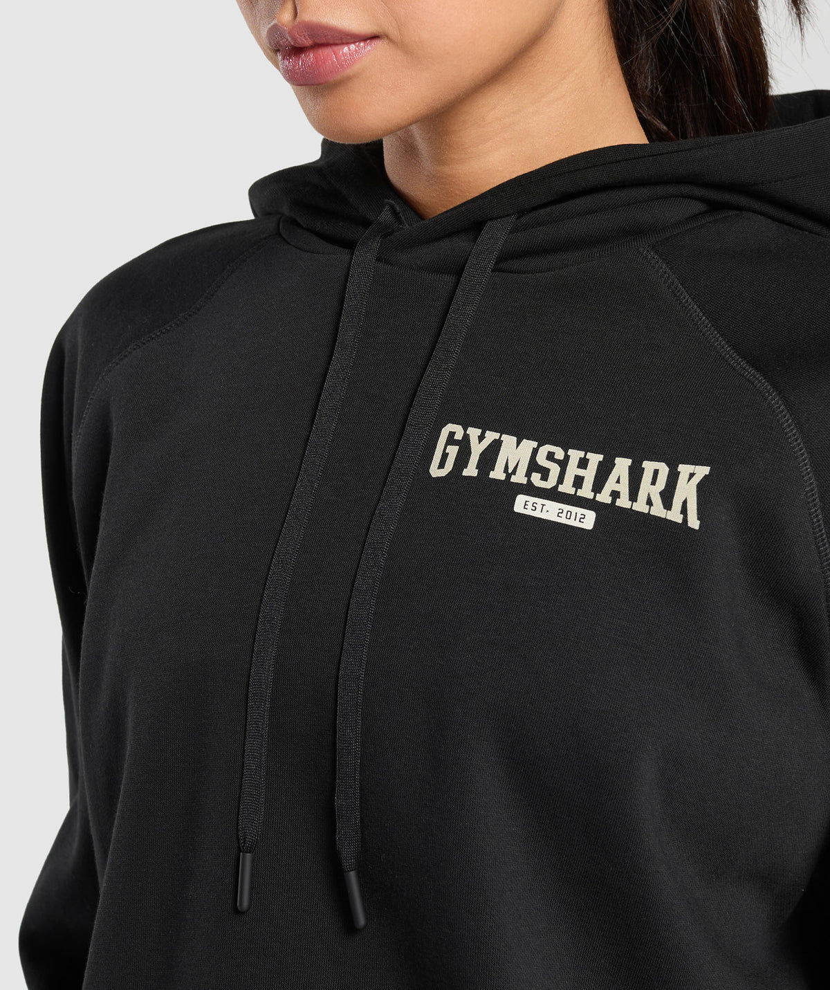Collegiate lifestyle hoodie