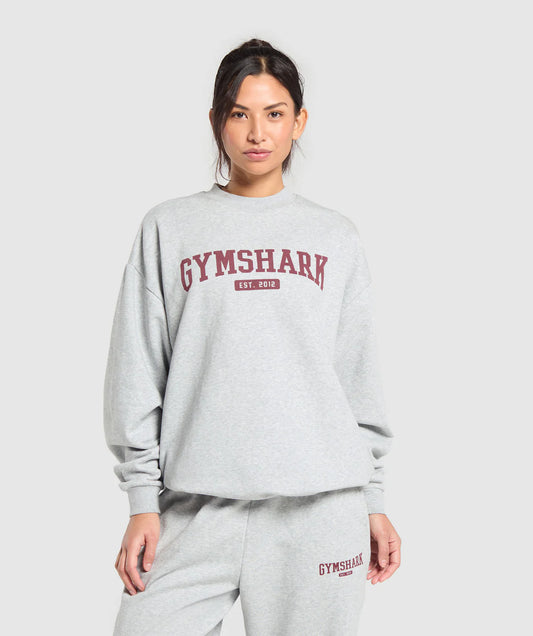 Collegiate lifestyle oversized sweatshirt